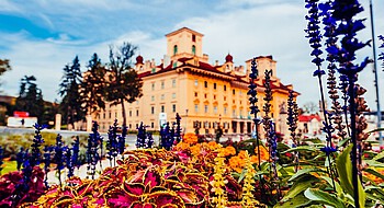 Schloss Esterházy im Herbst © Josef Siffert Gelbes Barockschloss mit zwei Türmen und Herbstblumen im Vordergrund