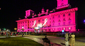 Schloss Esterhazy Pink Ribbon©Viktor Fertsak
